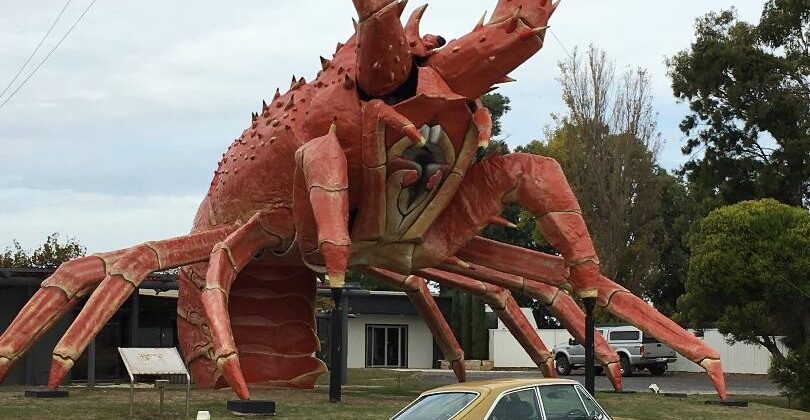 Big Lobsters and MGb GT