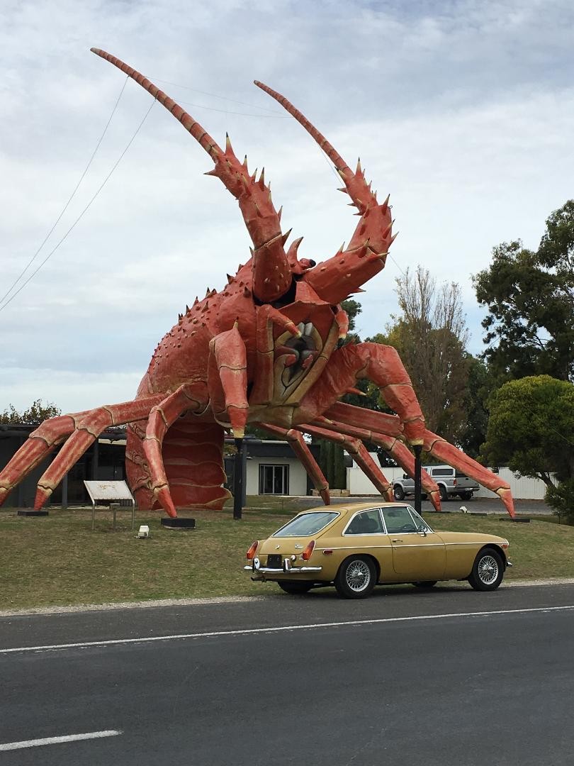 Big Lobsters and MGb GT